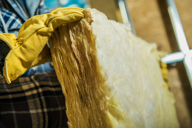 Best Insulation Maintenance and Repair in Alvin, TX
