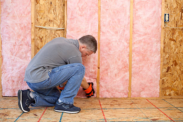 Best Energy Efficiency Solutions in Alvin, TX
